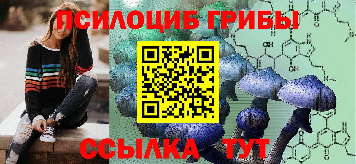 Выкса  Галлюциногенные грибы мухоморы  Галлюциногенные грибы Psilocybe  Вход с VPN 